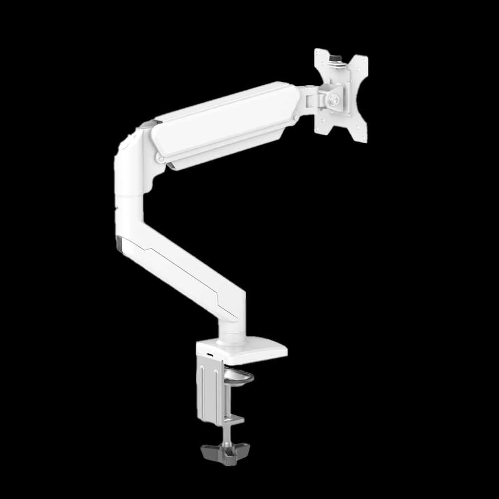 Monitor Arm Budget Friendly for 27 inch